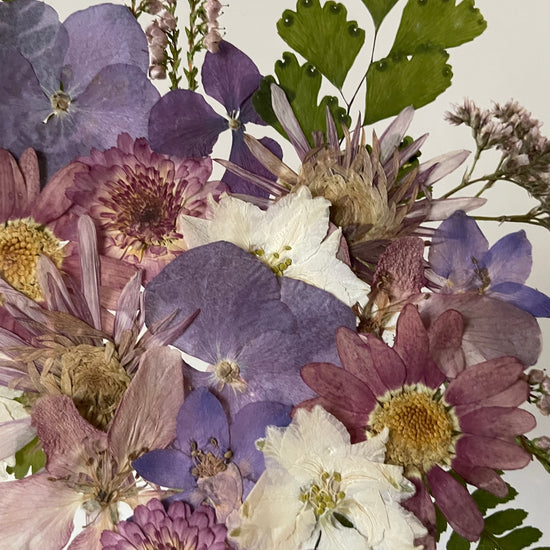 Padesát odstínů fialové