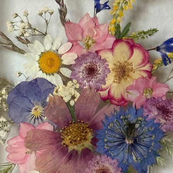 Třpytí se drobná kvítka