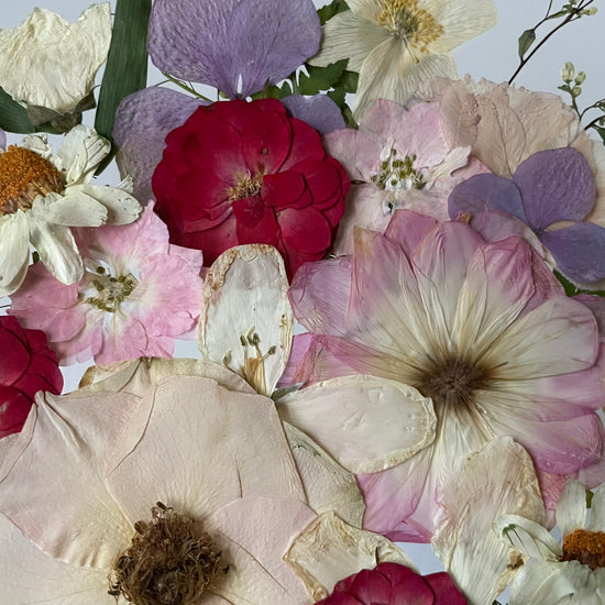 Ranní růžové vyznání