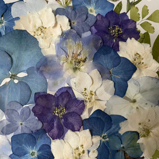 Když půjde rovnou za nosem, daleko nedojde…