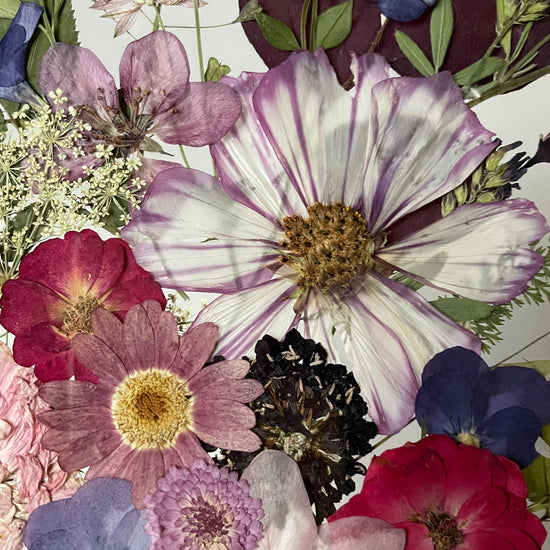 O půlnoci nasbíráno