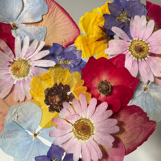 Dotek lásky v rozkvetlém srdci