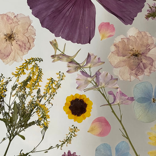 Jako když letní větřík hladí po tváři