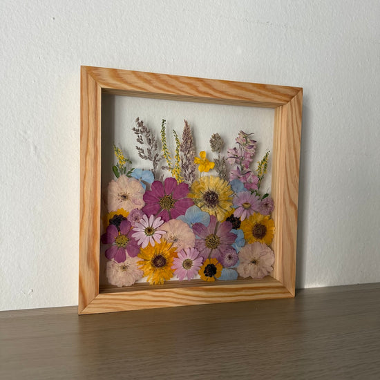 Všechny barvy západu slunce