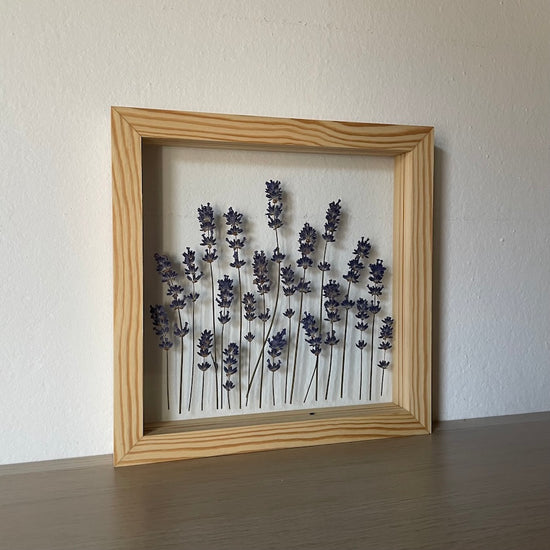 Jsi má levandulová