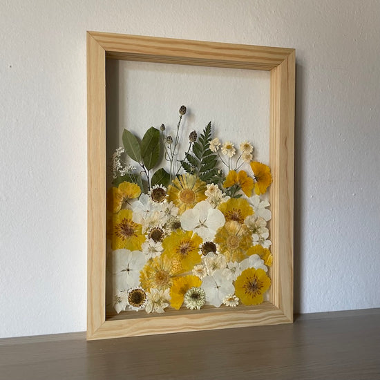 Měsíček lékařský žlutavý