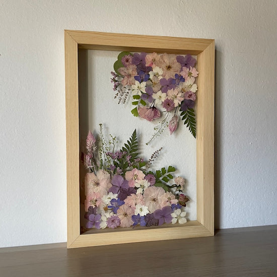 Hortenzie a jejich fialkovost