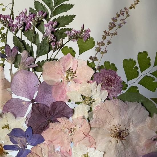 Hortenzie a jejich fialkovost