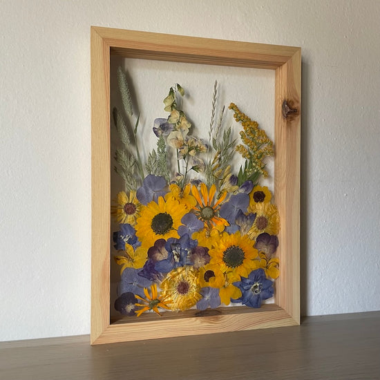 Louka odpoledního slunce