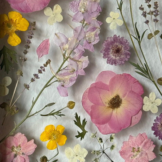 Propojení mezi jarem a létem