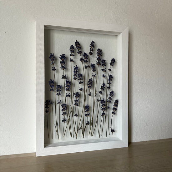 Bílá levandulová Provence