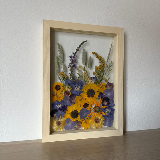 Protkané slunečním svitem