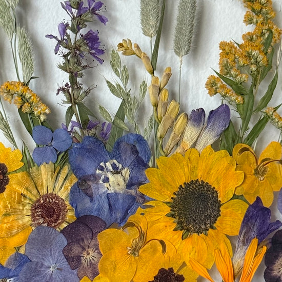 Protkané slunečním svitem