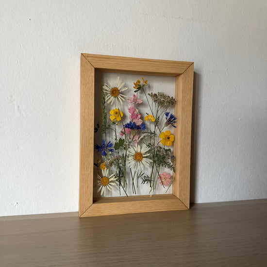 Luční pestrobarevnost