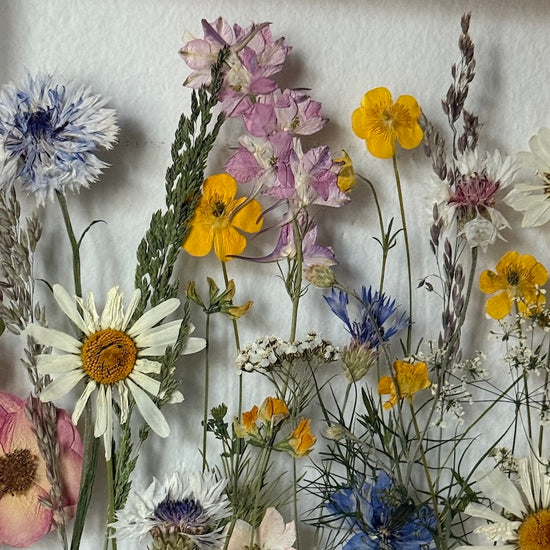 Písně lučních víl