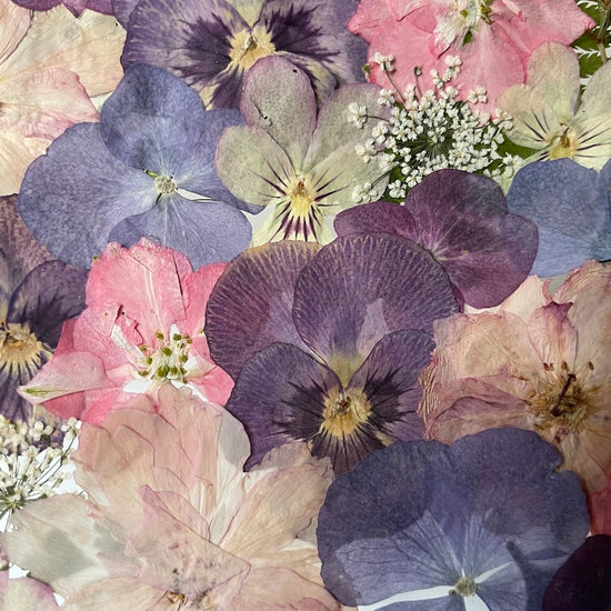 Jako pastelkami malovaný