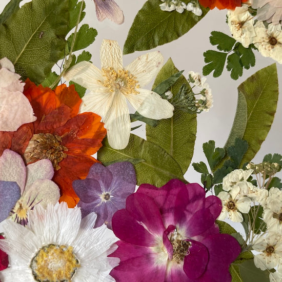 Jako svěží začátek nového dne