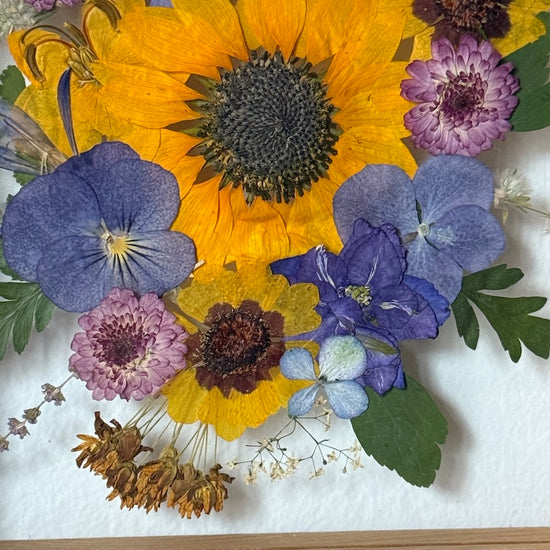 Slunečná záře na obloze