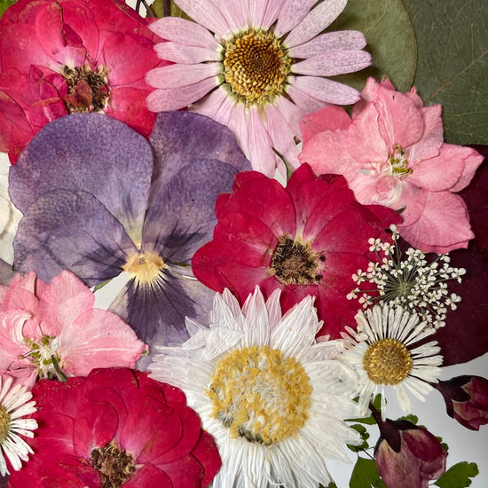 Okolo Hradce v malé zahrádce