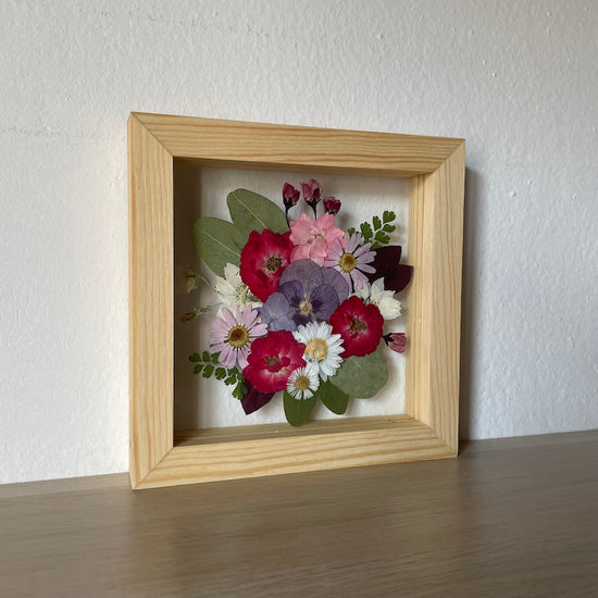 Kolem macešky se všechny točí