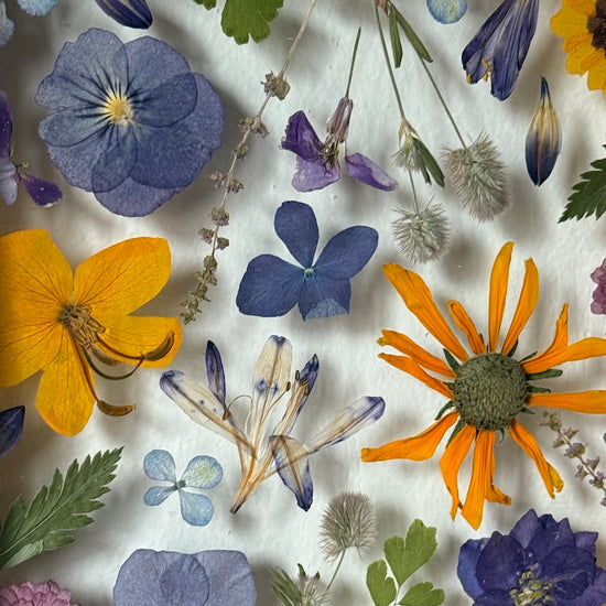 Z hřejivých krajin