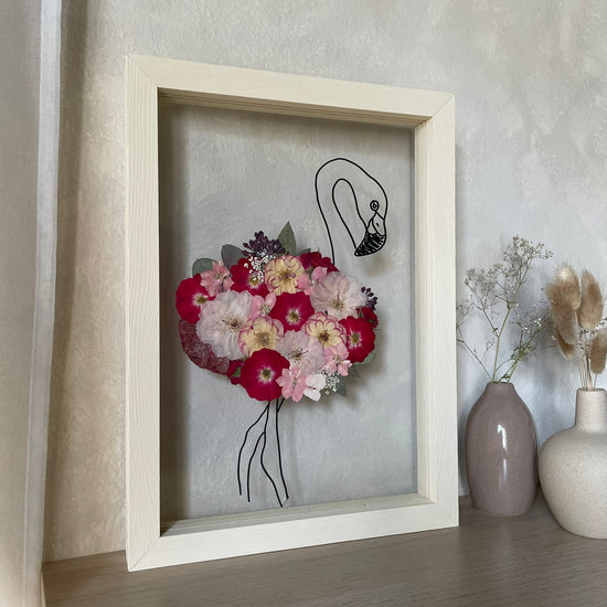 Plameňák růžičkový