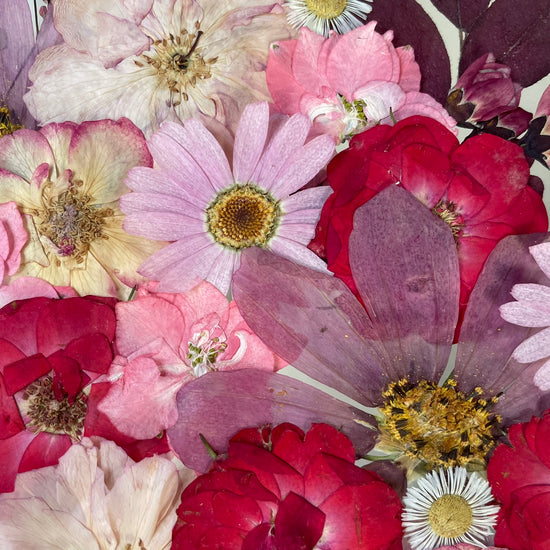 Myšlenkami v létě