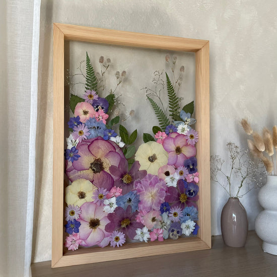 Údolí krásných snů