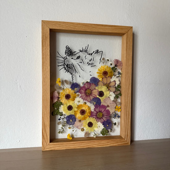 Motýlek na čumáčku