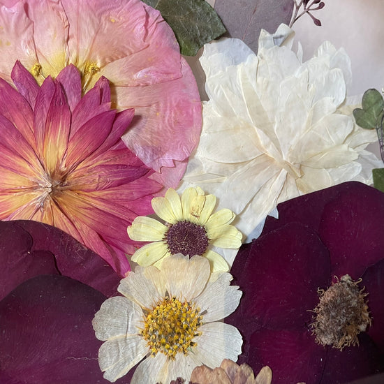 Pohledy do květů podzimu