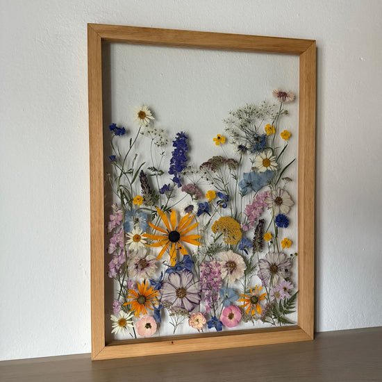 Louka, kde se plní všechna přání