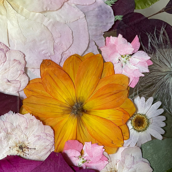 Rozkvetlá dokonalost