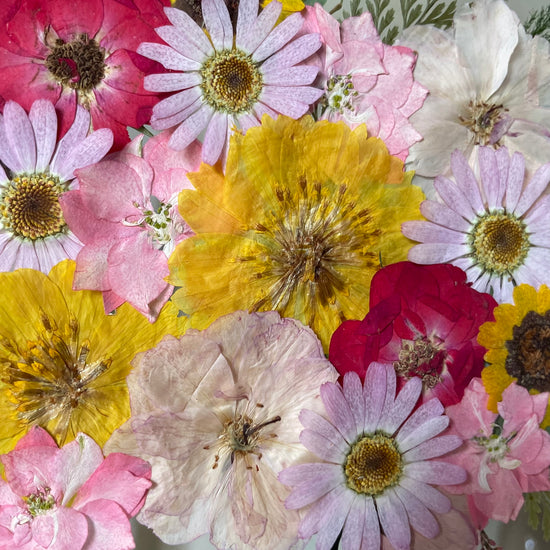 Kočičí přítelkyně