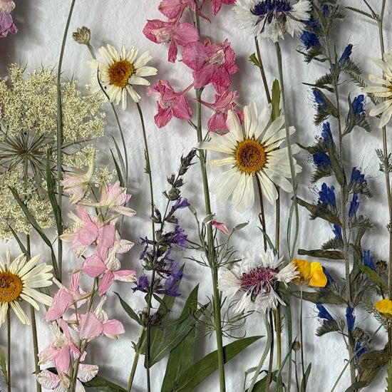 S radostným nádechem jara