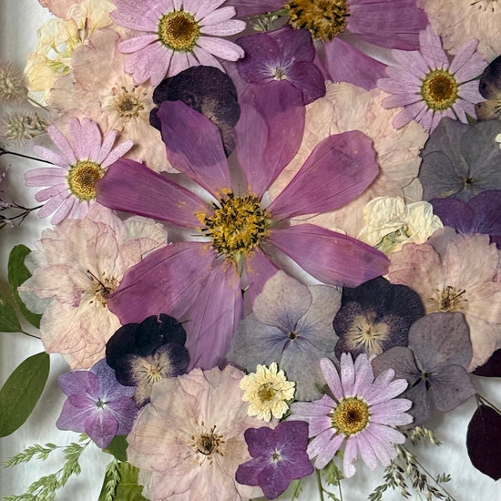 V obklopení růžové