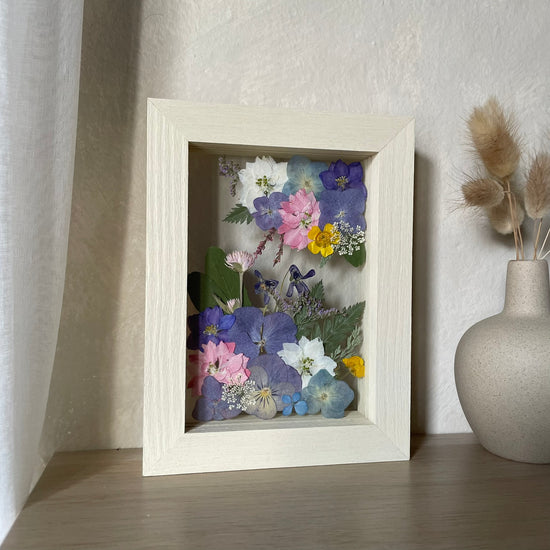 První fialky probuzené