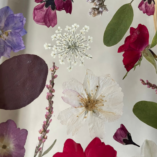 Poslední sněhová vločka