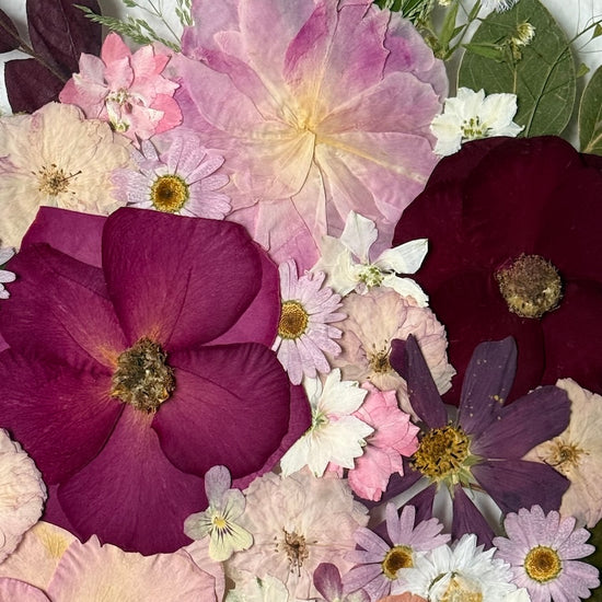 Vábení hřejivých květů