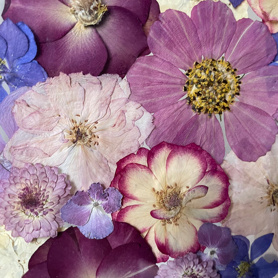 Své srdce a lásku ti dám