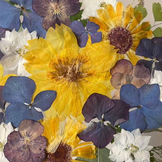 Hřejivé hvězdy mezi oblaky