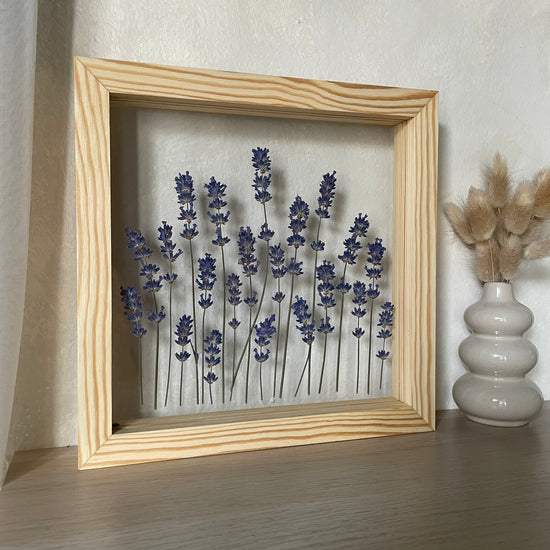 Jsi má levandulová