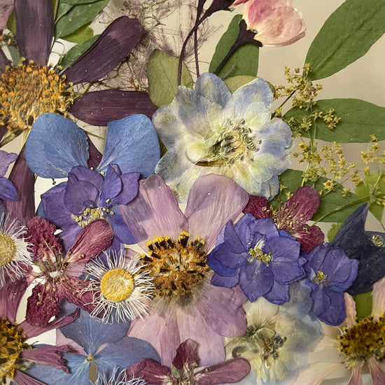 K pramenům lesní říčky