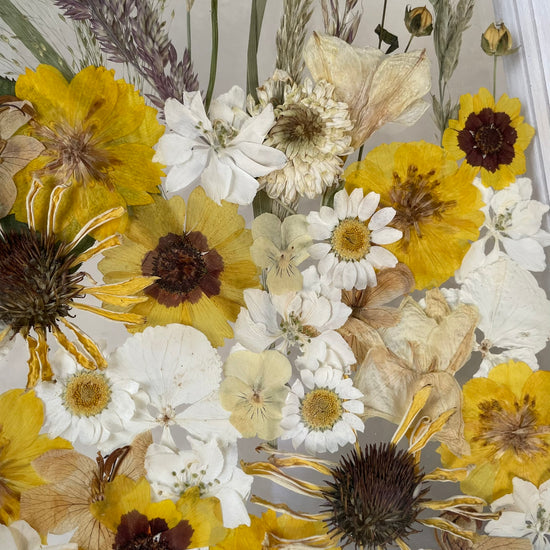 Slunečné odpoledne