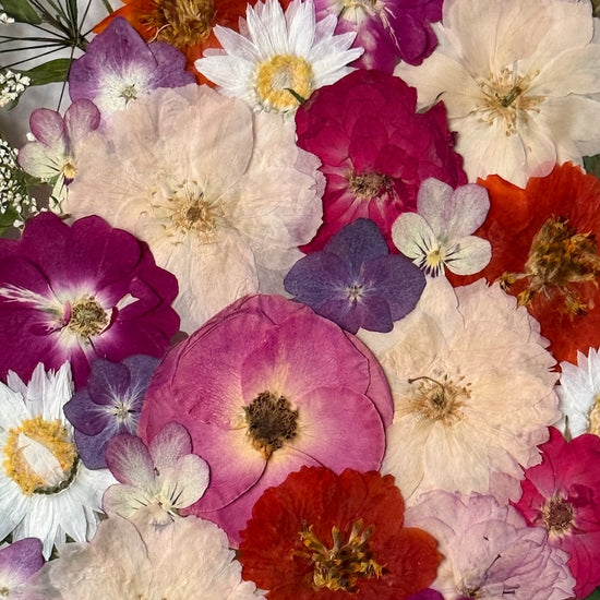 Oslava přírody v barvách