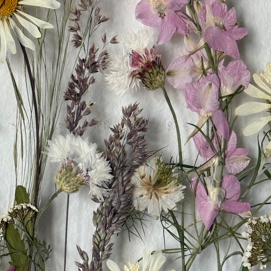 Loučka ze západních Čech