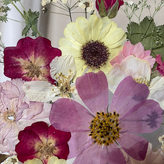 Pohled do růžové zahrady