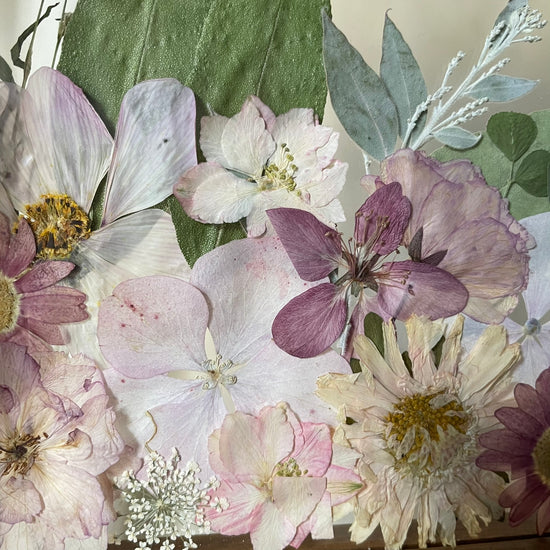 Růžohrátky květinové