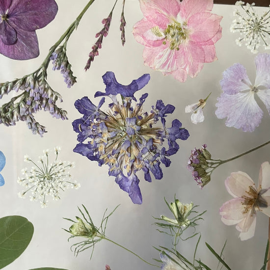 Růžová polka a modrý valčík