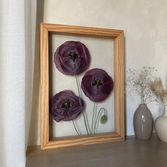 My tři, máci, jdeme k vám