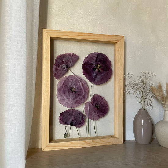 Na křídlech makových víl